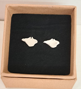 Silver Isle of Wight stud earrings.