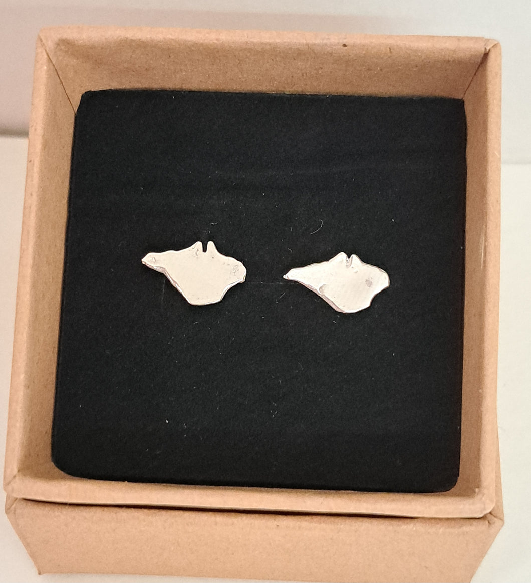 Silver Isle of Wight stud earrings.