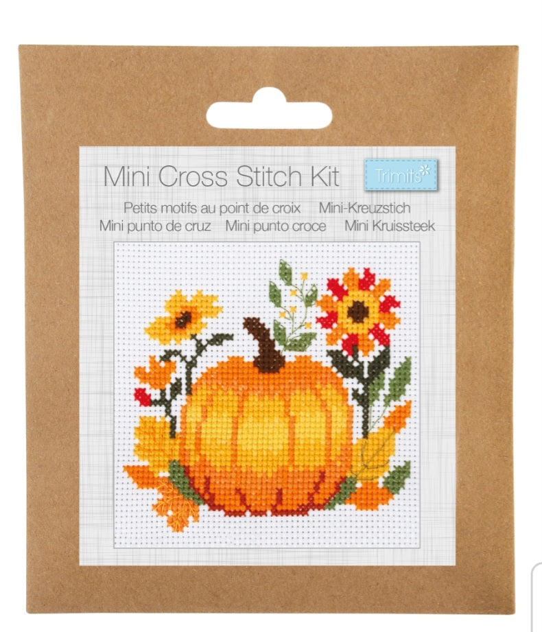 Mini Counted Cross Stitch Kit  - Pumpkin