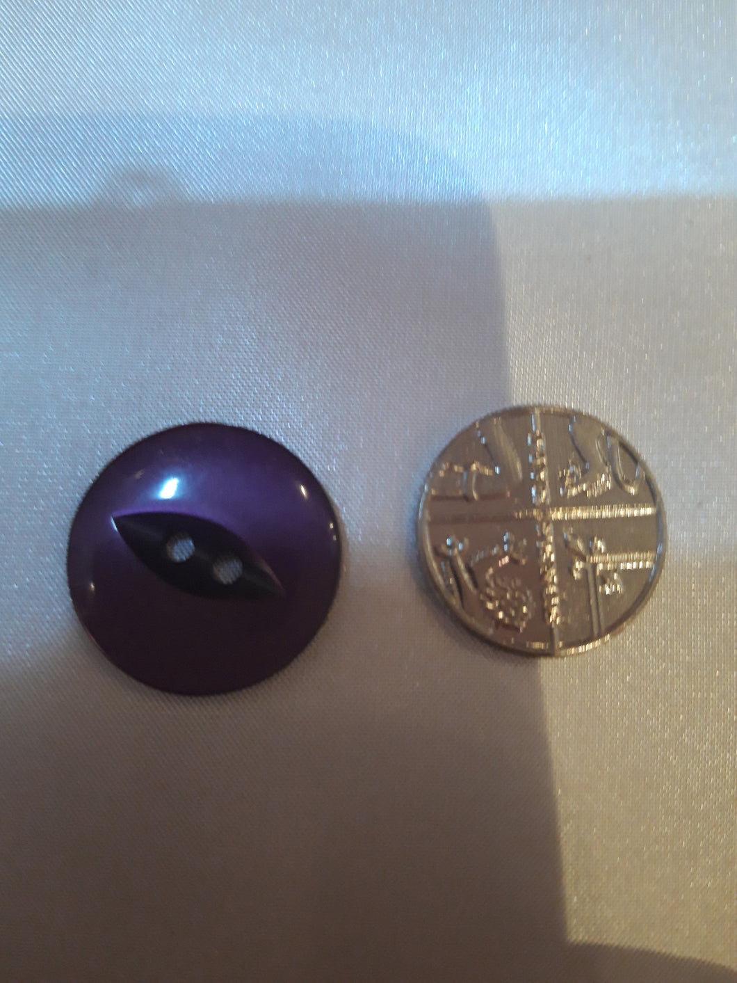 Large Dark Purple Fish-eye Button