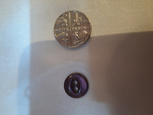 Extra Small Purple Fish-eye Button