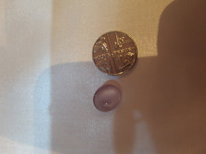 Small Pale Lilac Shank Button