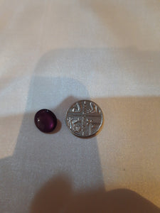 Small Dark Purple Shank Button