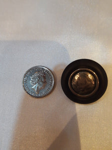 Brown Button with Nickle Centre