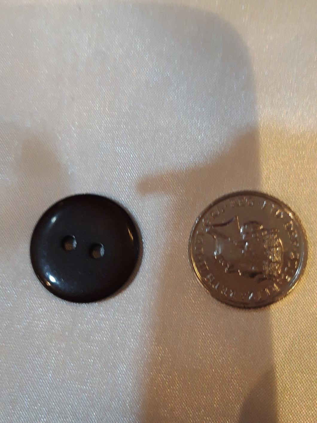 Dark Brown Button