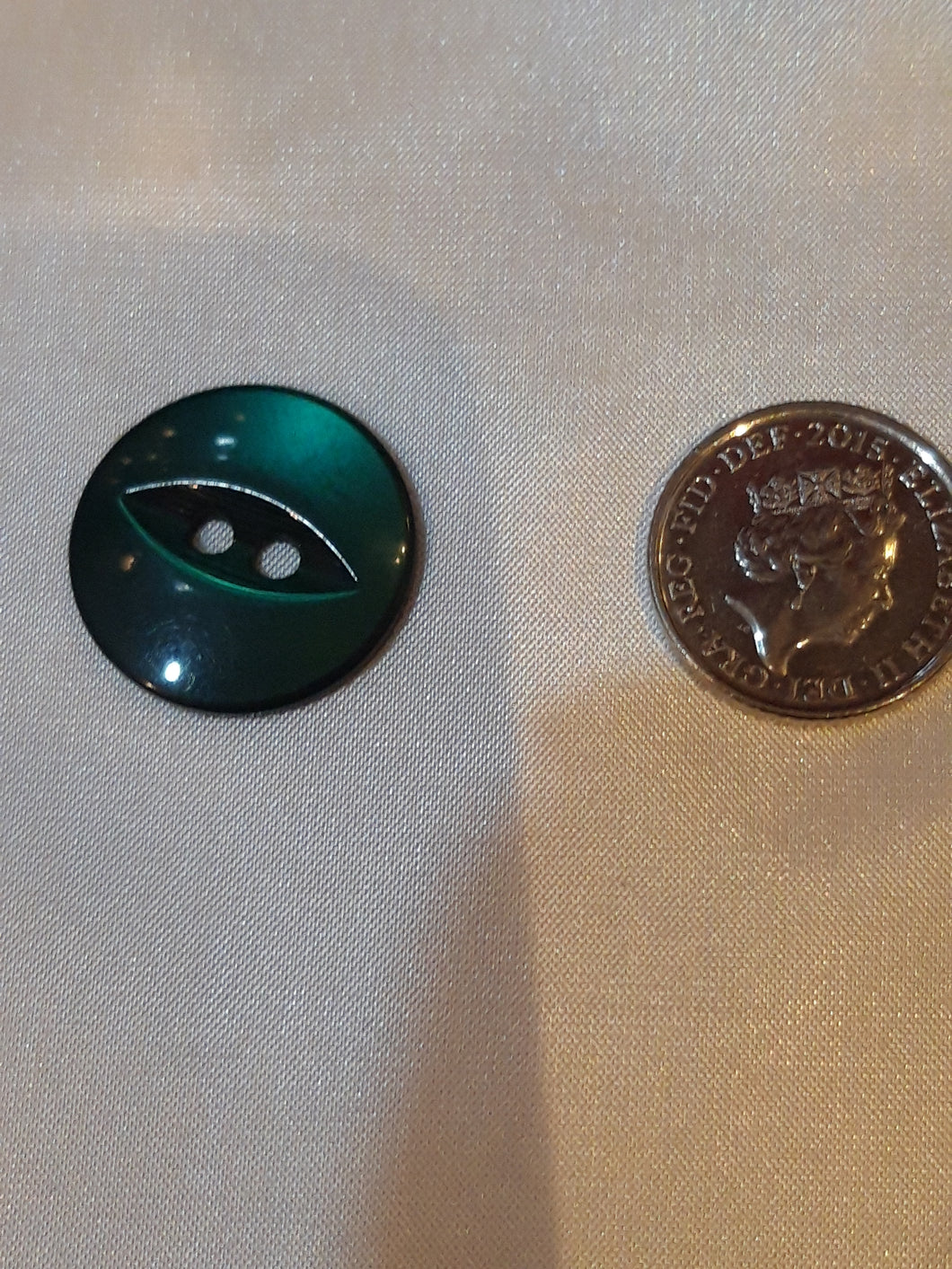 Large Dark Green Fish-Eye Button
