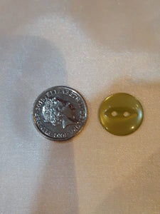 Small Sage Green Fish-Eye Button