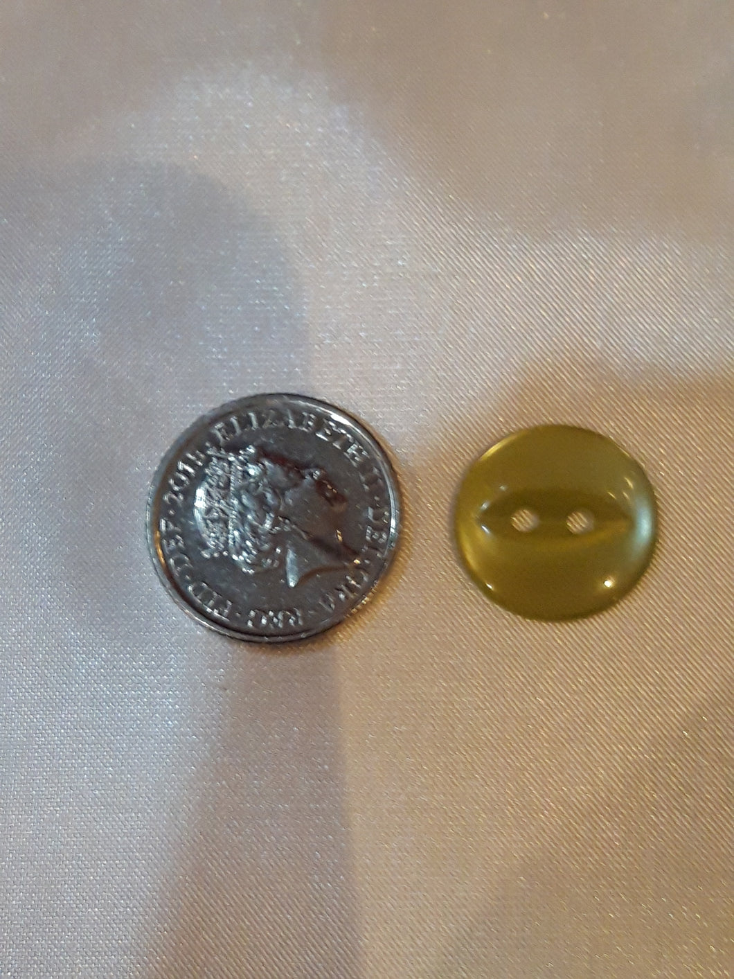 Small Sage Green Fish-Eye Button